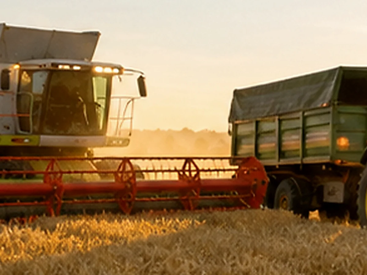 Landwirte, Hofeigentümer und Agrarunternehmer mit Verkaufsanliegen. im thematischen Umfeld
